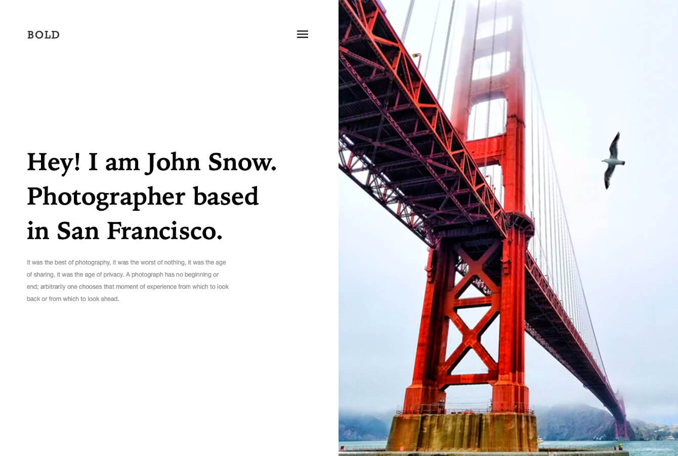 Image with missing alt attribute found on slickpic.com