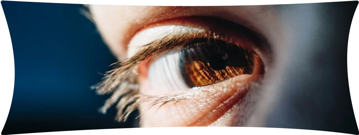 Image with missing alt attribute found on goldenflitch.com