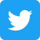twitter follow icon