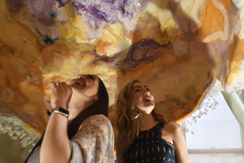 Image with missing alt attribute found on mica.edu