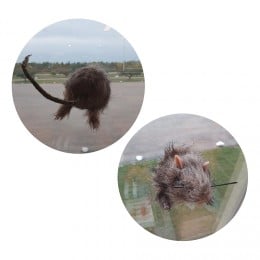 Image with missing alt attribute found on partyking.no