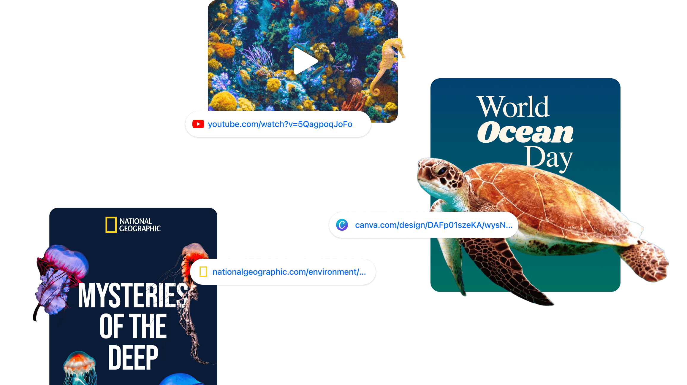 Image with missing alt attribute found on wakelet.com