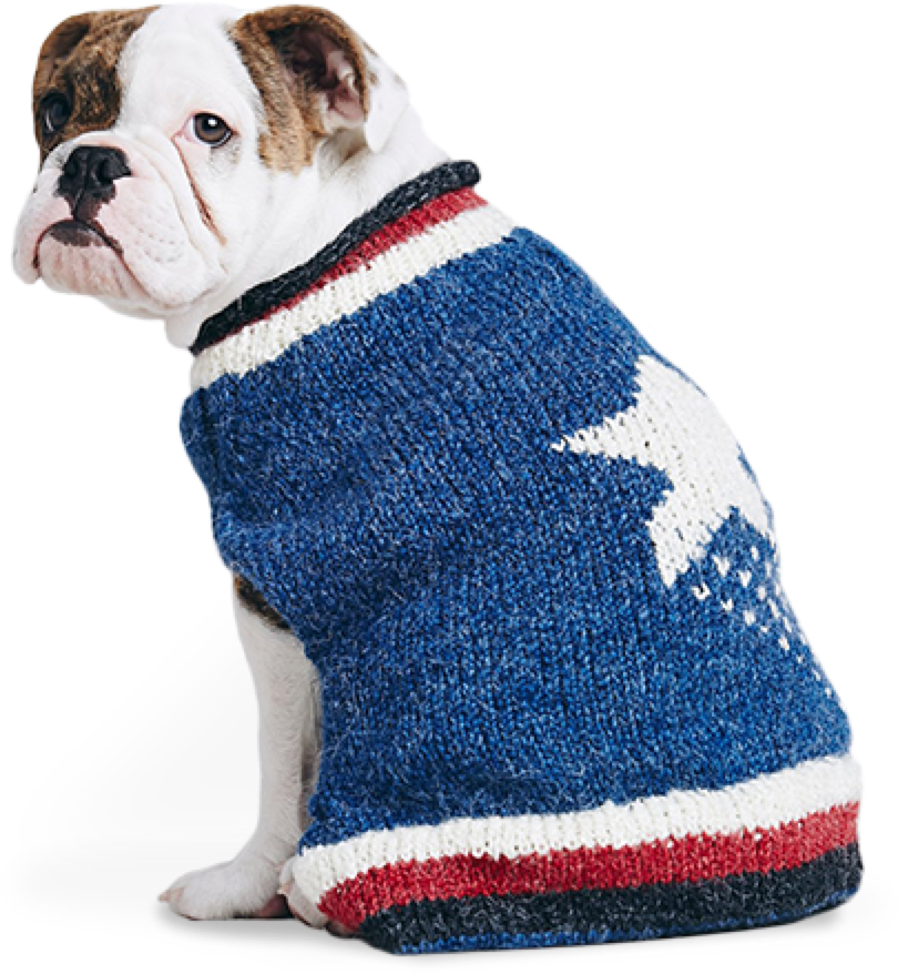 Image with missing alt attribute found on dondesearch.com