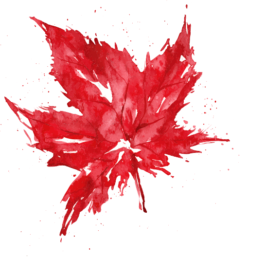 Image with missing alt attribute found on assignmenthelper.ca