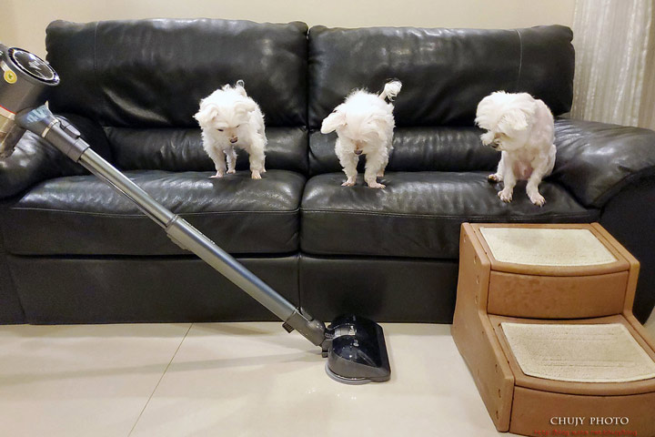 Image with missing alt attribute found on mobile01.com