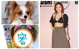 Image with missing alt attribute found on setn.com