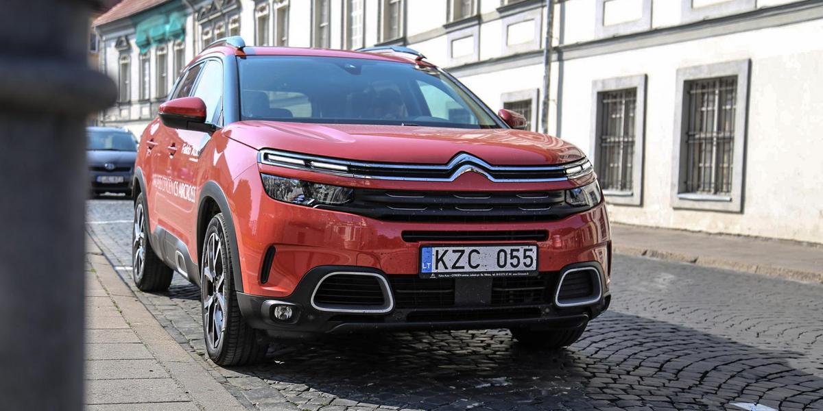 Image with missing alt attribute found on dgn.lt