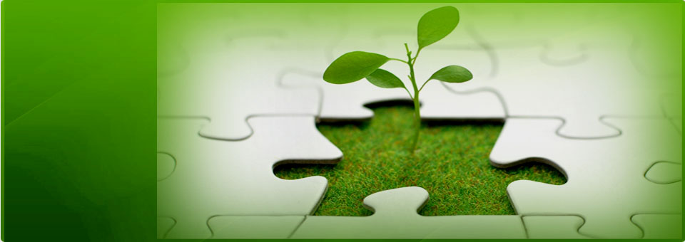 Image with missing alt attribute found on avecoh.com