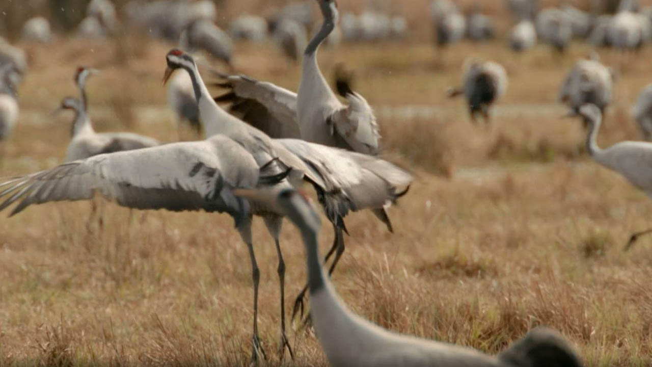 Image with missing alt attribute found on azpbs.org