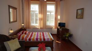 Image with missing alt attribute found on azylpromilence.com.cz