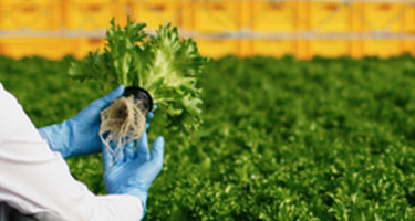 Image with missing alt attribute found on azzule.com