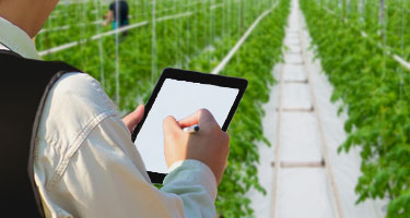 Image with missing alt attribute found on azzule.com