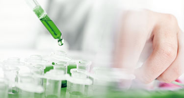 Image with missing alt attribute found on azzule.com