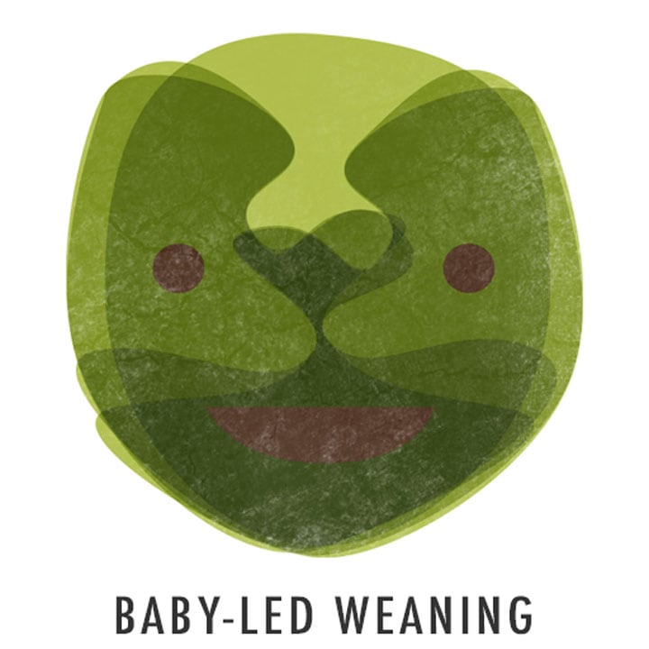 Image with missing alt attribute found on babyfoode.com