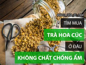 mua tr&agrave; hoa c&uacute;c ở đ&acirc;u