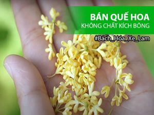 Quế Hoa (hoa mộc) (100Gr) - Thượng Phẩm