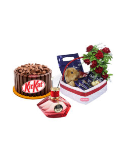 Image with missing alt attribute found on bakisto.pk