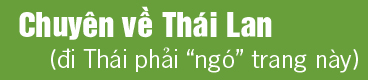 Image with missing alt attribute found on baynhe.vn