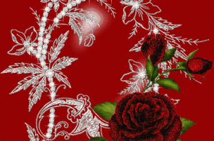 صورة صور متحركه ورد , فوائد ماء الورد