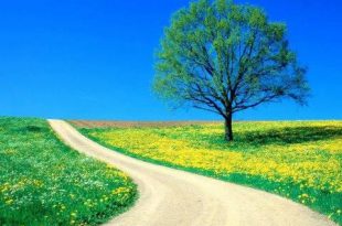 صورة صور طبيعه , جمال ما خلق الله