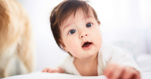 Image with missing alt attribute found on bebac.com