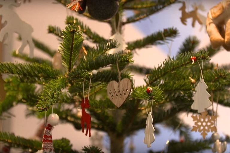 Image with missing alt attribute found on logo24.pl