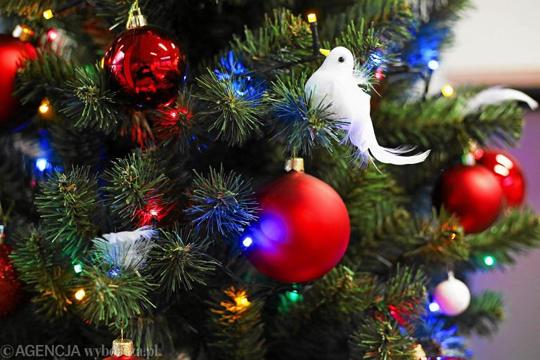 Image with missing alt attribute found on logo24.pl