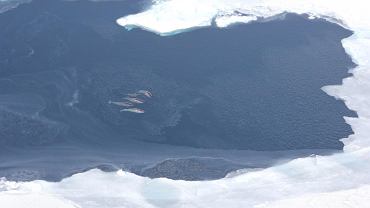 Image with missing alt attribute found on tokfm.pl