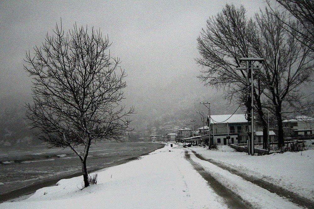 Image with missing alt attribute found on bidtracer.com