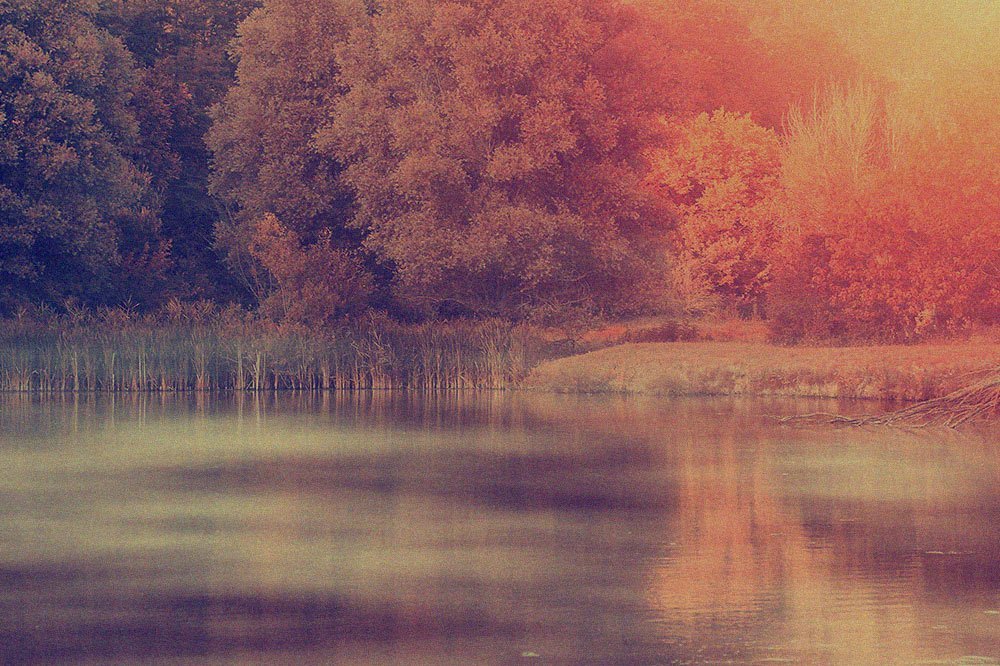 Image with missing alt attribute found on bidtracer.com