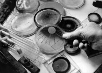 Image with missing alt attribute found on bigpicture.ru