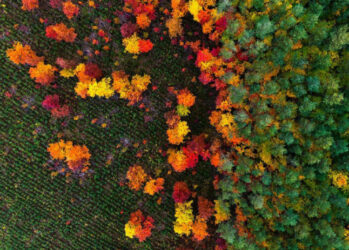 Image with missing alt attribute found on bigpicture.ru