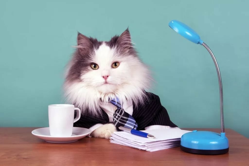 Image with missing alt attribute found on bigpicture.ru