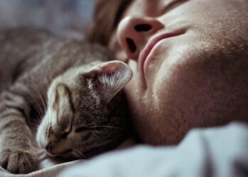 Image with missing alt attribute found on bigpicture.ru