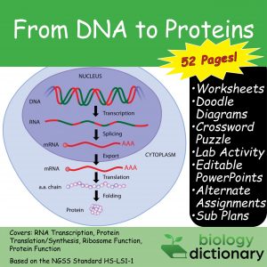 Image with missing alt attribute found on biologydictionary.net