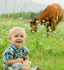 Image with missing alt attribute found on biospringer.com