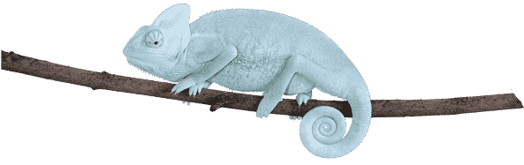 Image with missing alt attribute found on biospringer.com