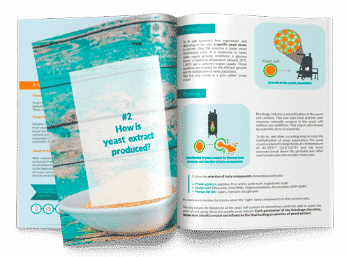 Image with missing alt attribute found on biospringer.com