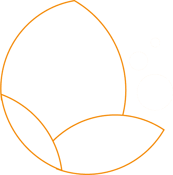 Image with missing alt attribute found on biospringer.com