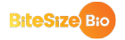 Bitesize Bio