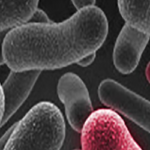 Image with missing alt attribute found on bitesizebio.com