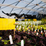 Image with missing alt attribute found on bitesizebio.com