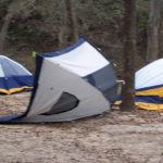 Image with missing alt attribute found on bitesizebio.com