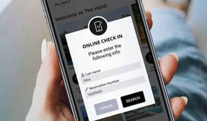 Image with missing alt attribute found on blausolutions.es