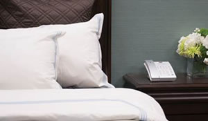 Image with missing alt attribute found on blausolutions.es