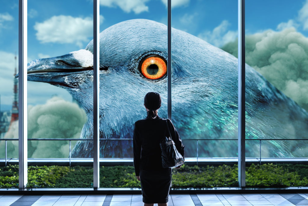 Tweet of the Week #61: Store Label Typo Strikes Back