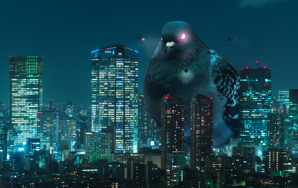 Tweet of the Week #60: Why Hokkaido Sushi Is the Best in Japan