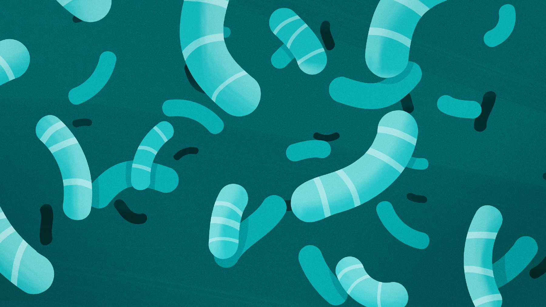 Image with missing alt attribute found on illinois.edu