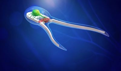 Image with missing alt attribute found on illinois.edu