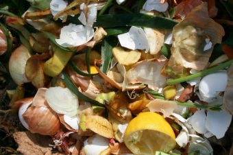 Image with missing alt attribute found on nabu.de